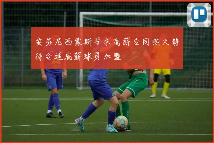 安芬尼西蒙斯寻求高薪合同热火静待合适底薪球员加盟
